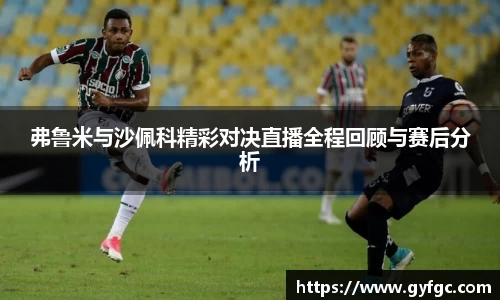 弗鲁米与沙佩科精彩对决直播全程回顾与赛后分析